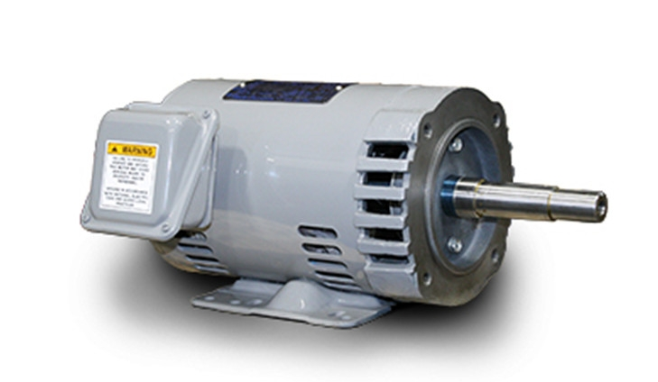 美國(guó)TECO-Westinghouse電機(jī)