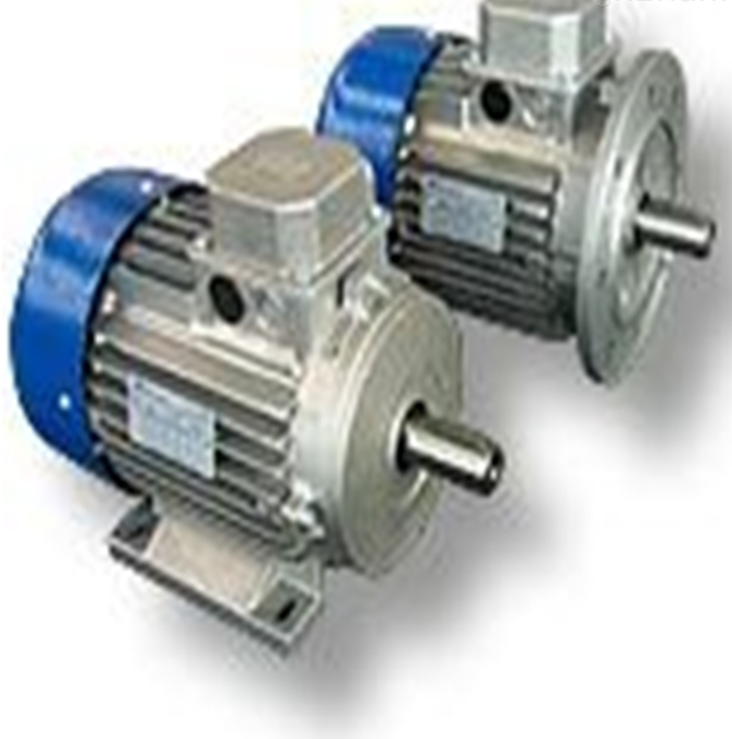 意大利M.T.MOTORI電機