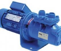 德國BRUENINGHAUS泵