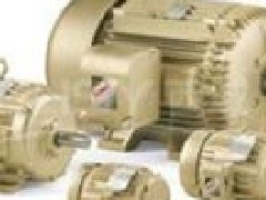 西班牙CEMER電機