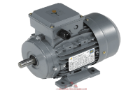 荷蘭Dutchi Motors電機