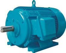 供應(yīng)英國(guó)FENNER電機(jī)