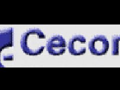 美國CECOMP真空表